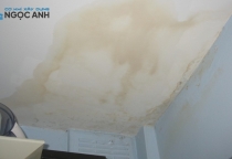 Chống thấm nhà chuyên nghiệp triệt để 100%